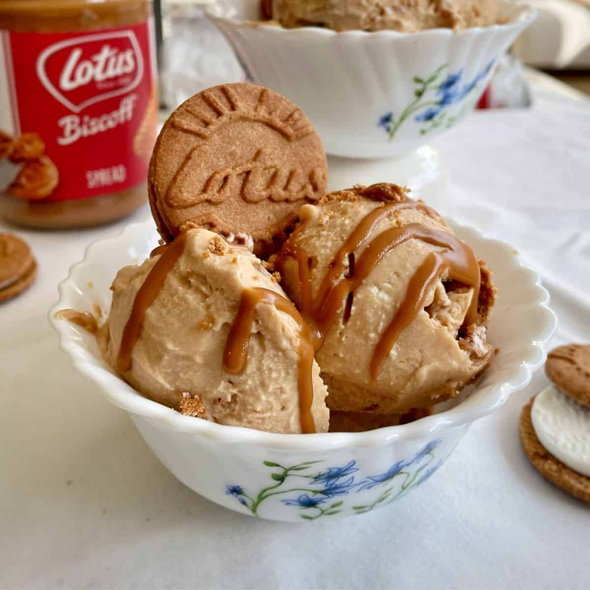 Lotus Biscoff Ice Cream Recipe - The Cooking Foodie