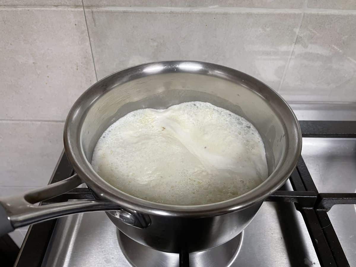 aliv seeds in milk boiling