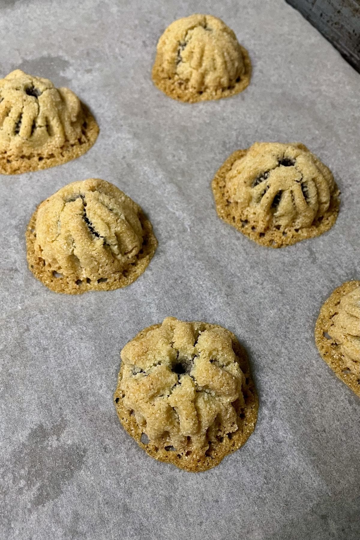 A close up of failed maamoul cookies out of the oven.